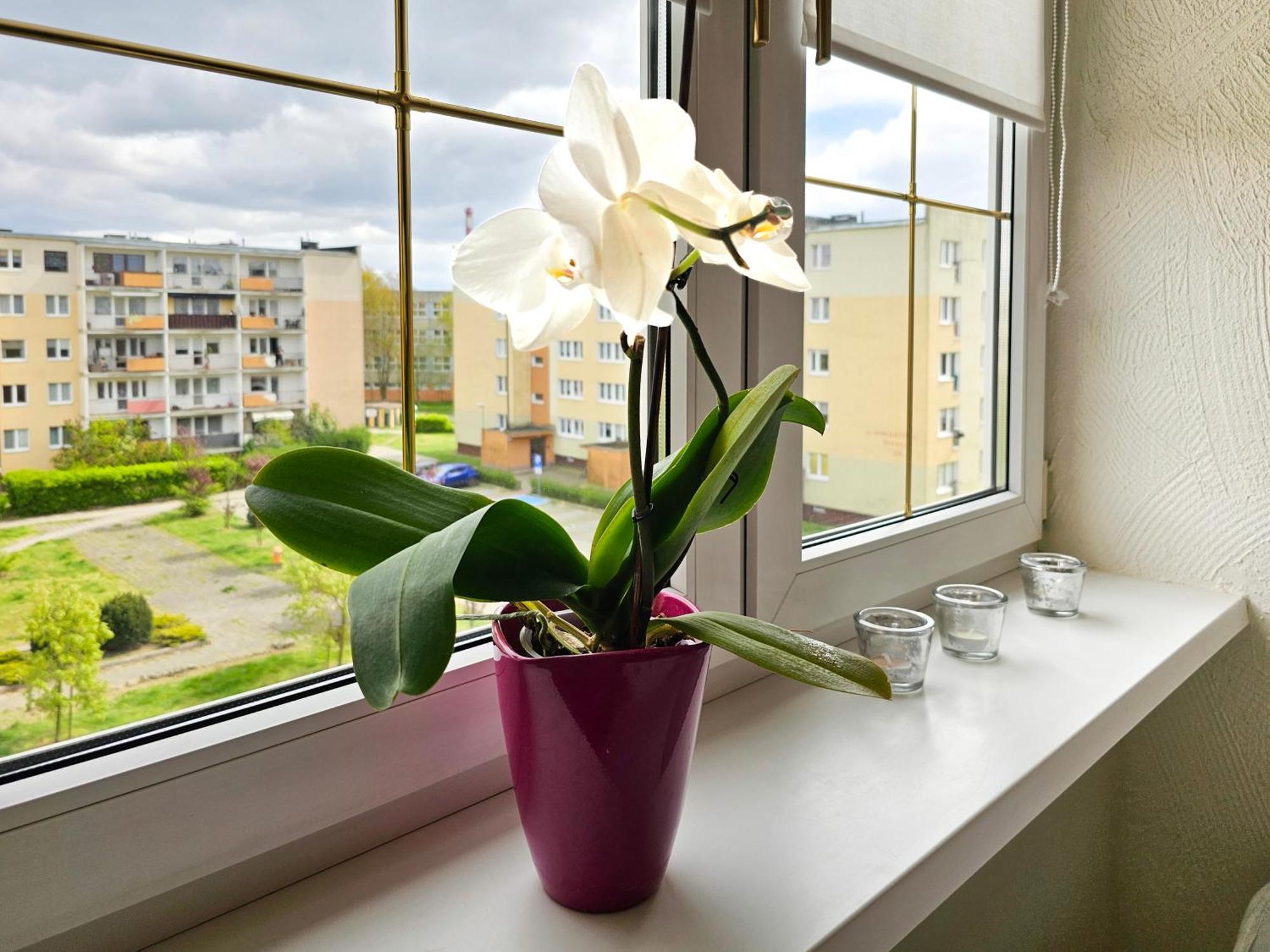 Apartment Visit Baltic - Sunny *